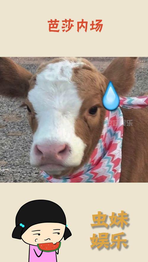 娱乐吃瓜酱作品 第1张 娱乐吃瓜酱作品 第1张