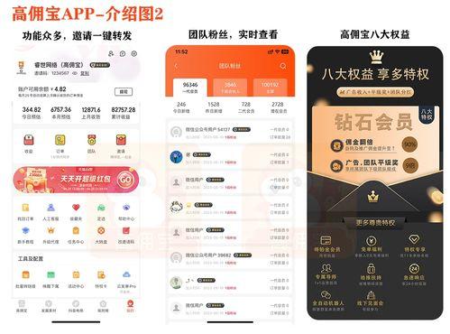 抖音最新爆料入口是什么,掌握最新动态,尽在指尖 第1张 抖音最新爆料入口是什么,掌握最新动态,尽在指尖 第1张