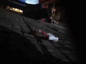 女子打架爆料视频播放下载,火爆场面引发网友热议